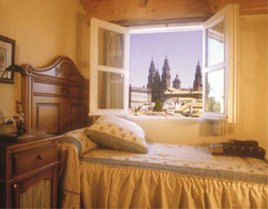圣地亚哥－德孔波斯特拉阿方索旅馆的一间卧室设有一张床和一个美景窗户。