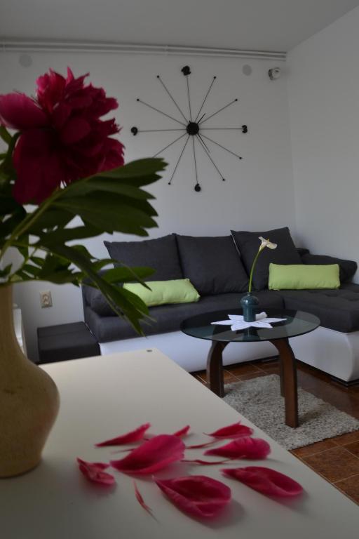 普拉Apartment Luli的客厅配有沙发和红色鲜花桌
