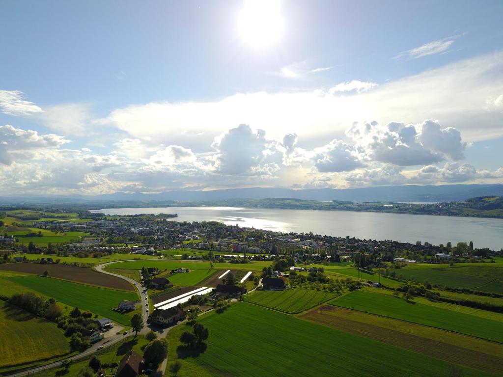 穆尔滕Ferienwohnung Burg Murten的享有湖泊和绿色田野的空中景致