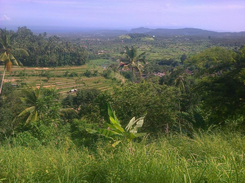 Tirtagangga庞多阿兰布肯酒店的从树木茂密的山丘上欣赏田野的景色