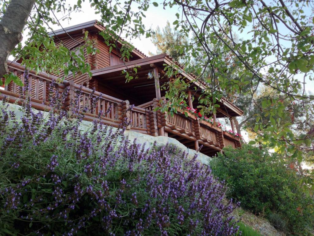 FlasouAnti Onirou的小木屋前方有紫色花