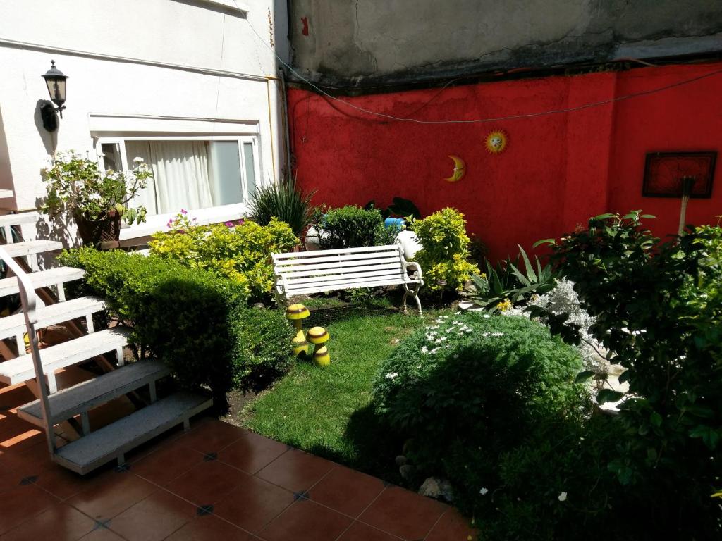 墨西哥城安妮斯旅馆的花园,旁边是红墙,设有长凳