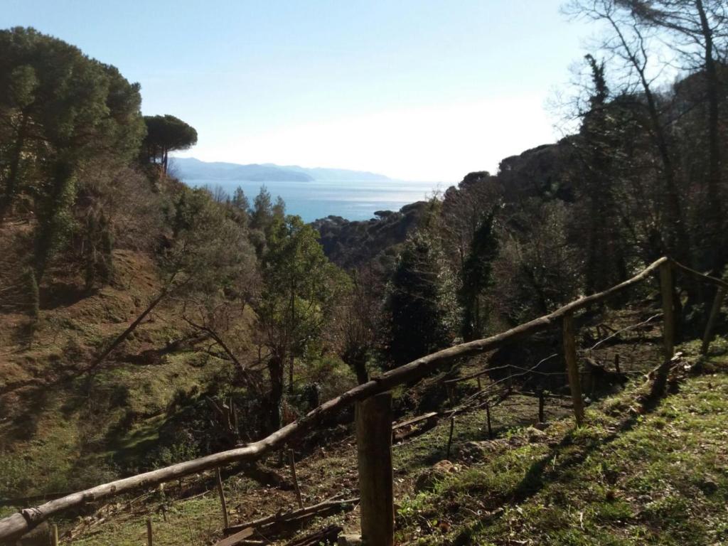 波托菲诺Country House in Portofino Mount & Natural Park的山边树木的围栏