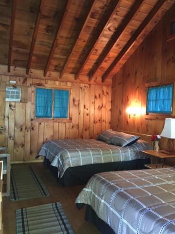 乔治湖琥珀元宵汽车旅馆的小木屋内一间卧室,配有两张床