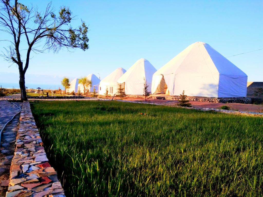 博孔巴耶沃Yurt camp Meiman Ordo的草场上的一组帐篷