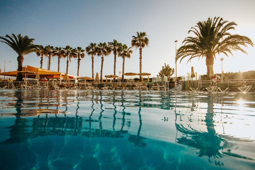 阿吉内金海滩赛尔瓦图绿滩酒店的一座棕榈树环绕的游泳池