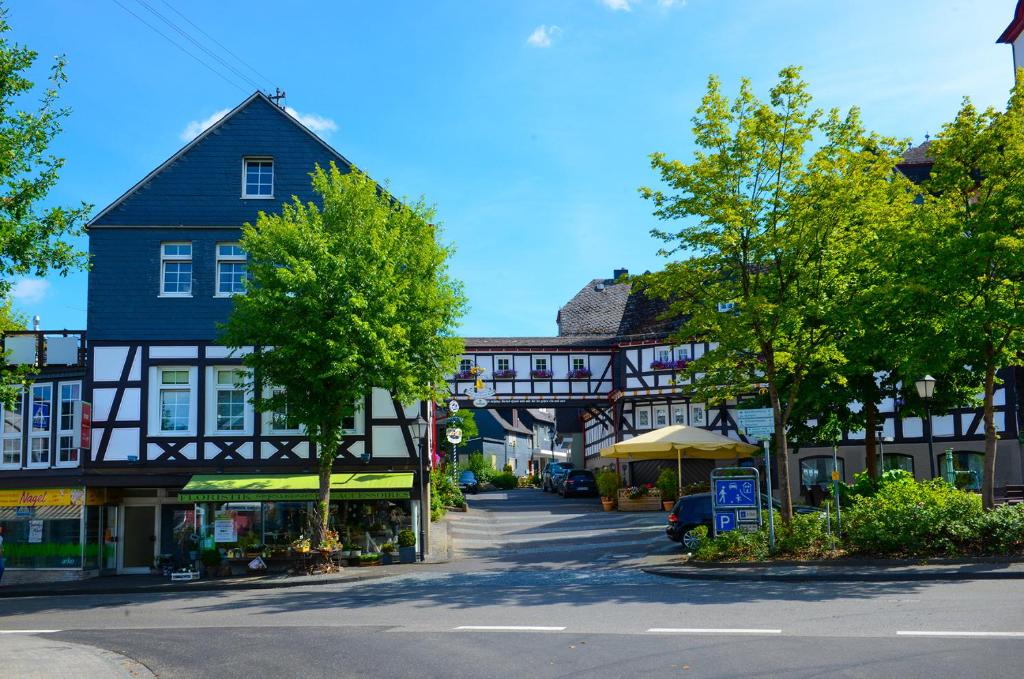 达登科赫酒店的城镇中树木繁茂的街道