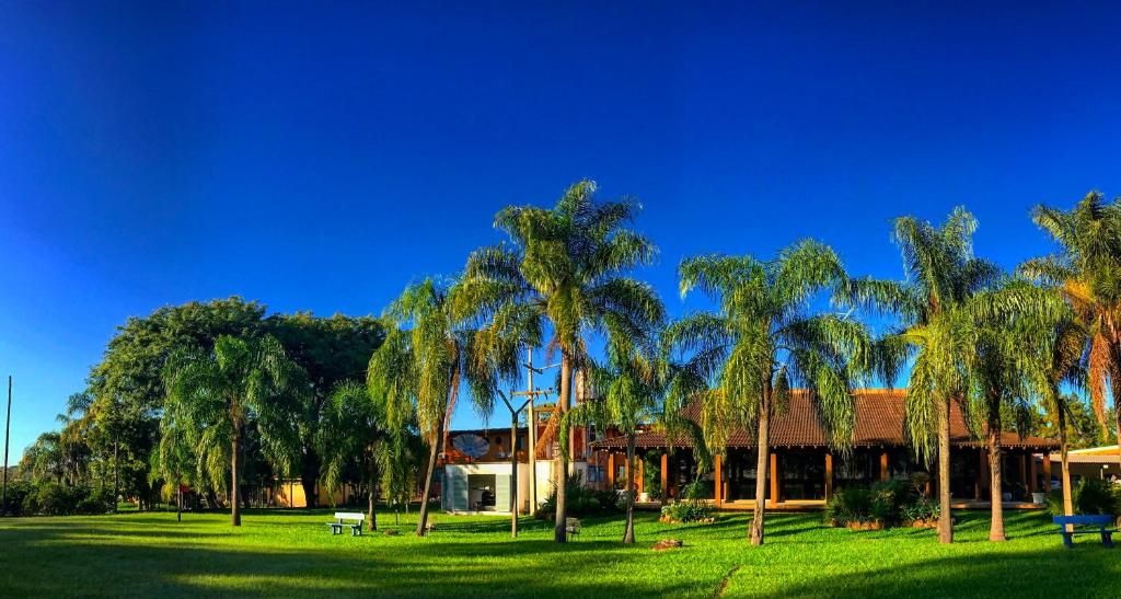 阿莱格雷特Hotel Texacao do Cavera的一群棕榈树在一座建筑前