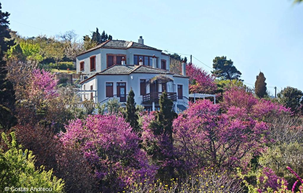 斯科派洛斯Stolios的一座花紫色的山顶房子