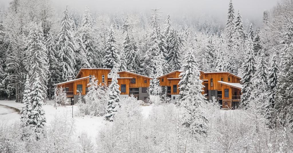 罗斯兰The Mountain Project #2的树林里小屋,有雪覆盖的树木