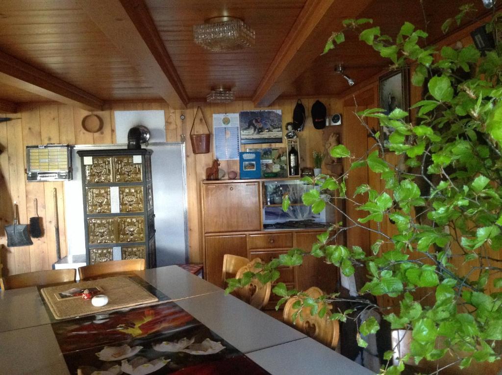 因内特基尔兴瓦根科尔全景酒店的厨房配有冰箱和带植物的桌子
