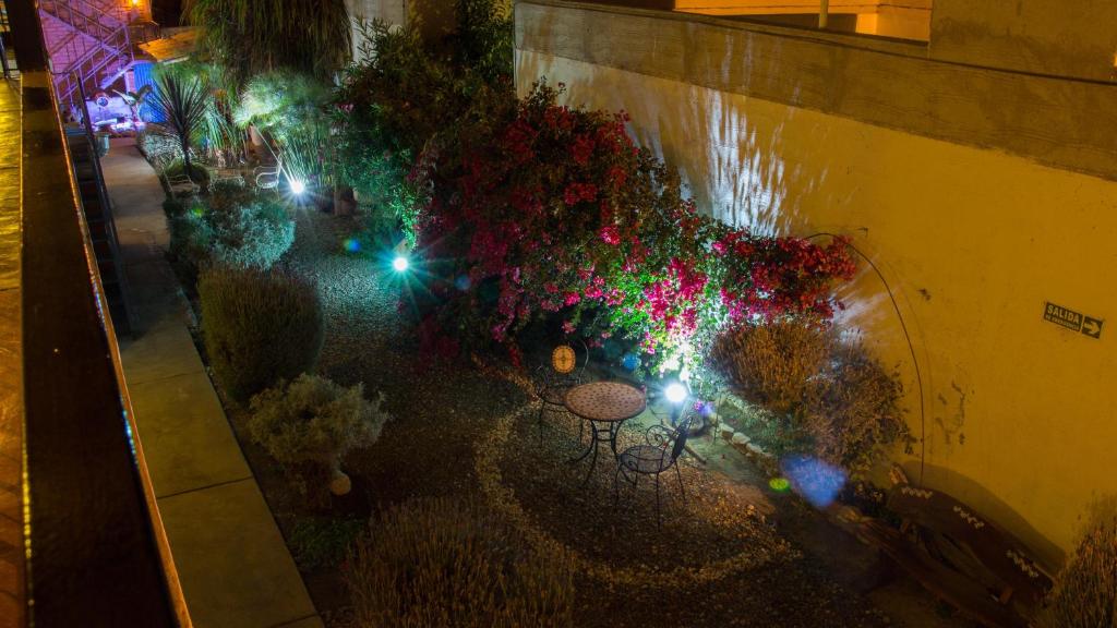 卡法亚特Divina Presencia的夜晚花园的顶部景色,灯光照亮