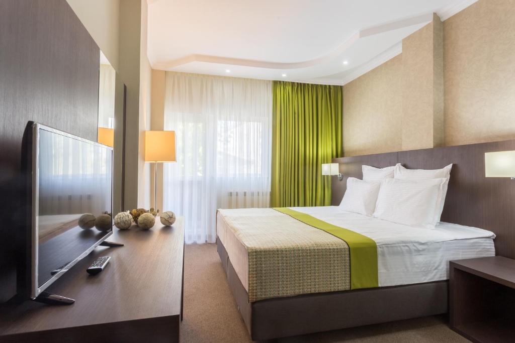 加拉茨Hotel Alex的配有一张床和一台平面电视的酒店客房