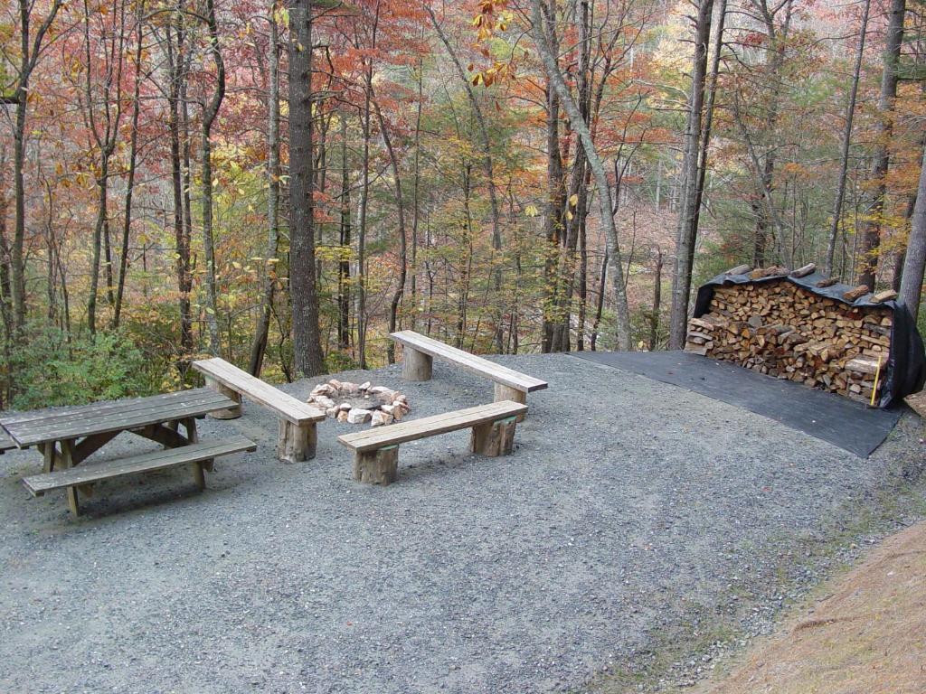 deer run - secluded natural wooded setting - near boone, nc