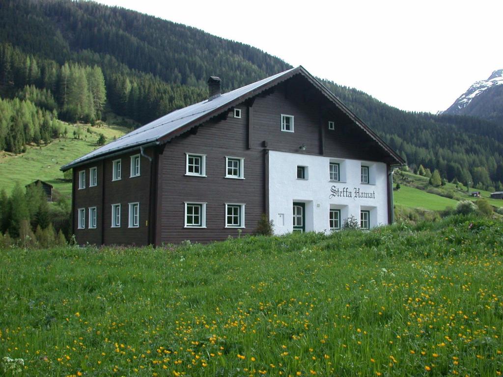 伊施格尔斯戴凡哈马特酒店的花田中的棕色和白色房子