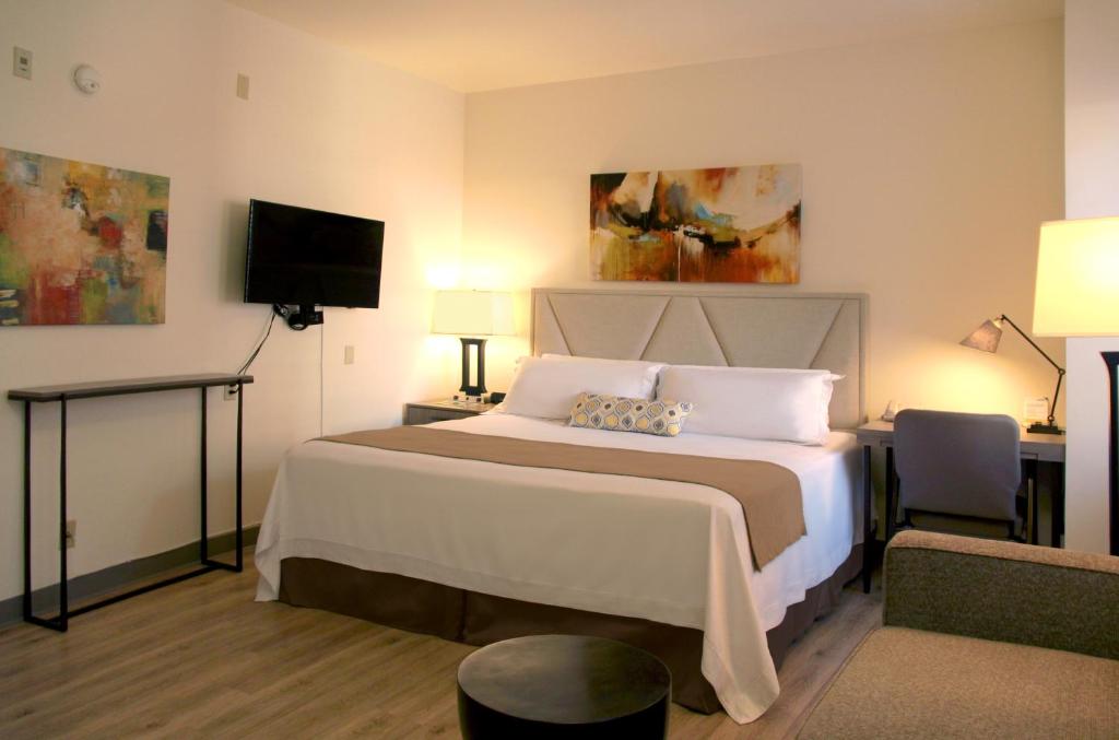 洛杉矶川田酒店的一间卧室配有一张床、一张书桌和一台电视