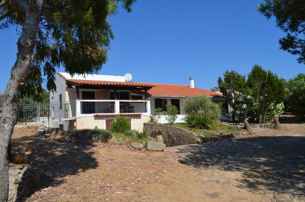 圣安蒂奥科Casa Vacanze Cala Sapone的前面有一棵树的白色房子