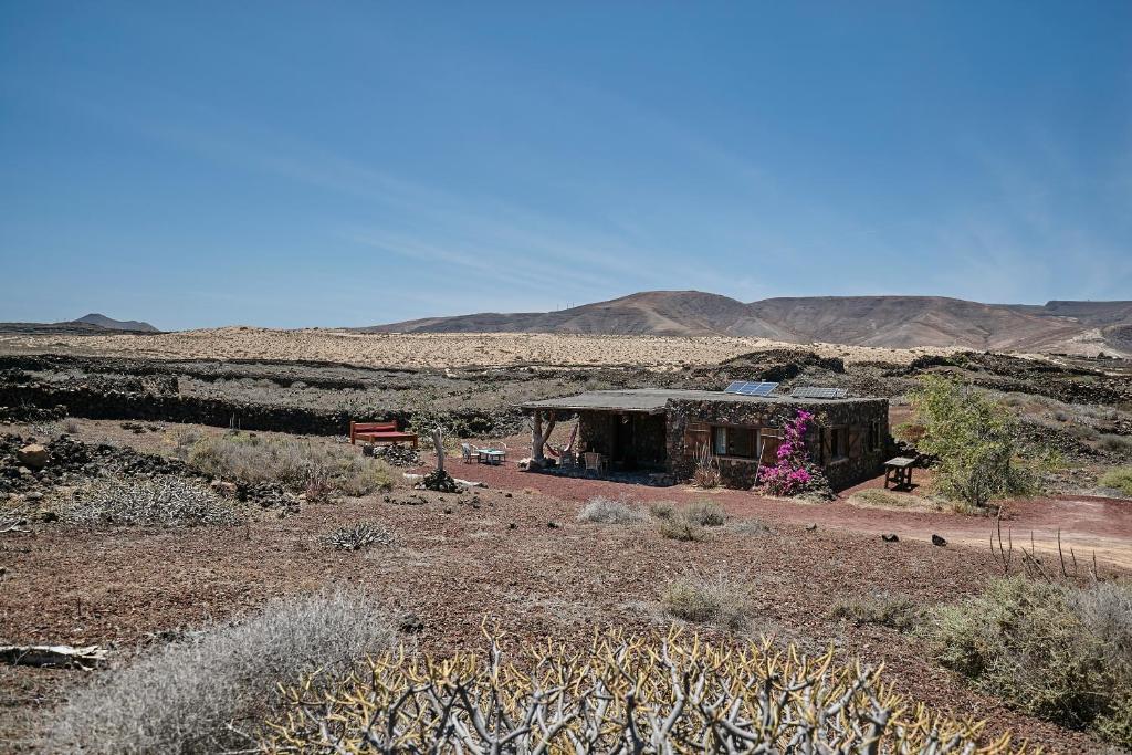 查德尔帕罗奥哈巴拉度假屋的沙漠中间的小房子