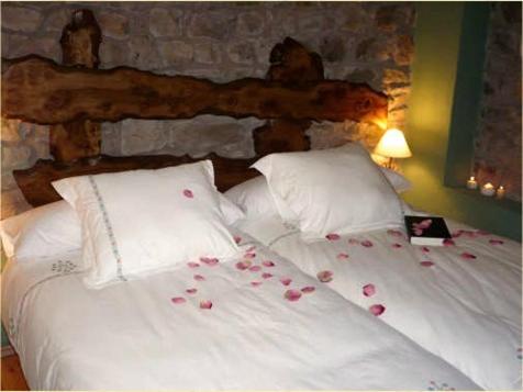 Reinosilla莫利诺德拉维加旅馆的一间卧室设有两张带玫瑰的床单
