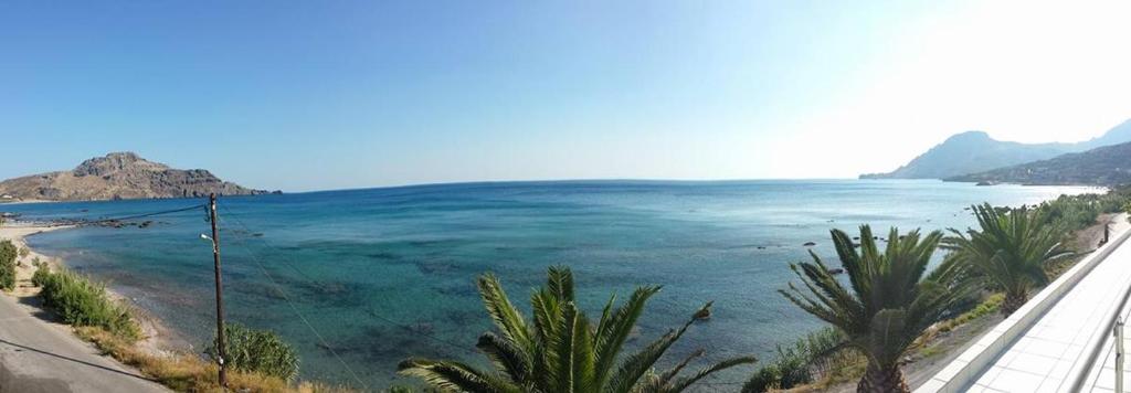 普拉基亚斯Skinos Apartments的享有蓝水和棕榈树海滩的美景