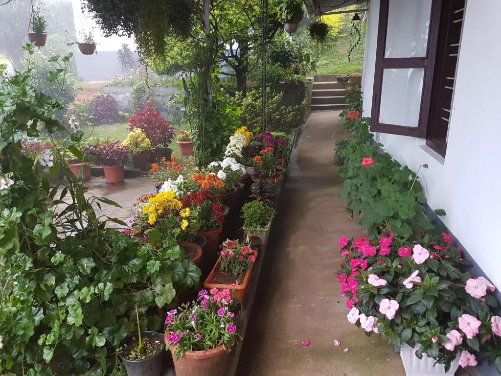 蒙纳莱茵城之家旅馆的种满了各种花卉的花园