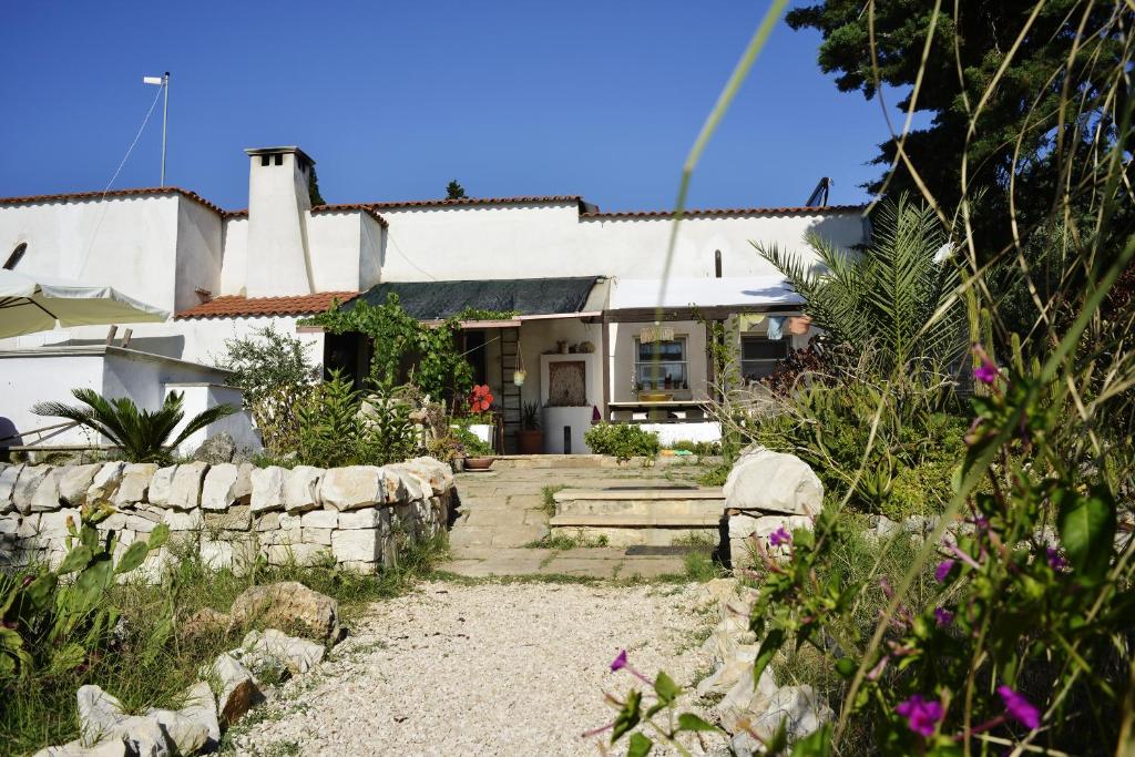 SerranovaMater Bed & Food-Riserva Naturale di Torre Guaceto的白色的房子,有石墙和院子