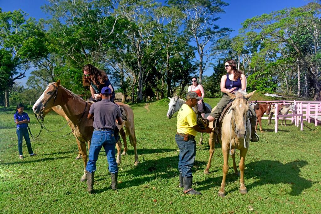 贝尔莫潘香蕉河岸旅馆&丛林骑马冒险园的一群在田野里骑马的人