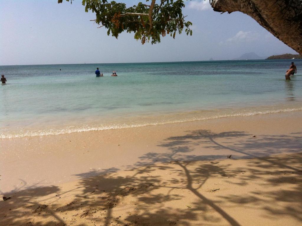 圣安娜Maison de Vacances à St Anne Martinique的一群人在海滩的水中