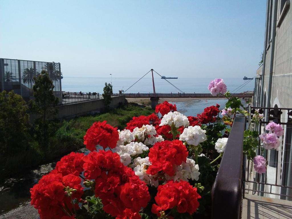 萨沃纳Savonaamare的阳台上的一大束红白花
