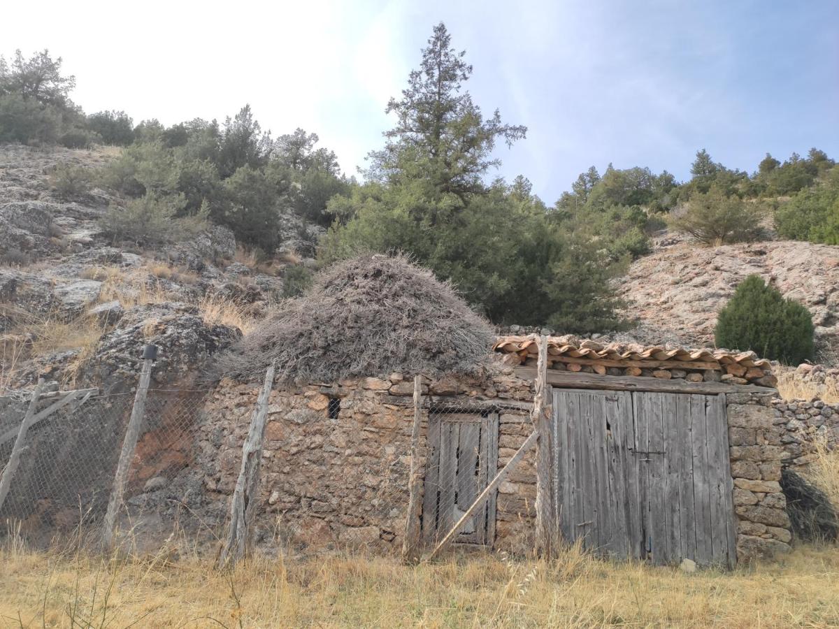 Iruechacasa rural Sierra del Solorio (posada de Iruecha ...