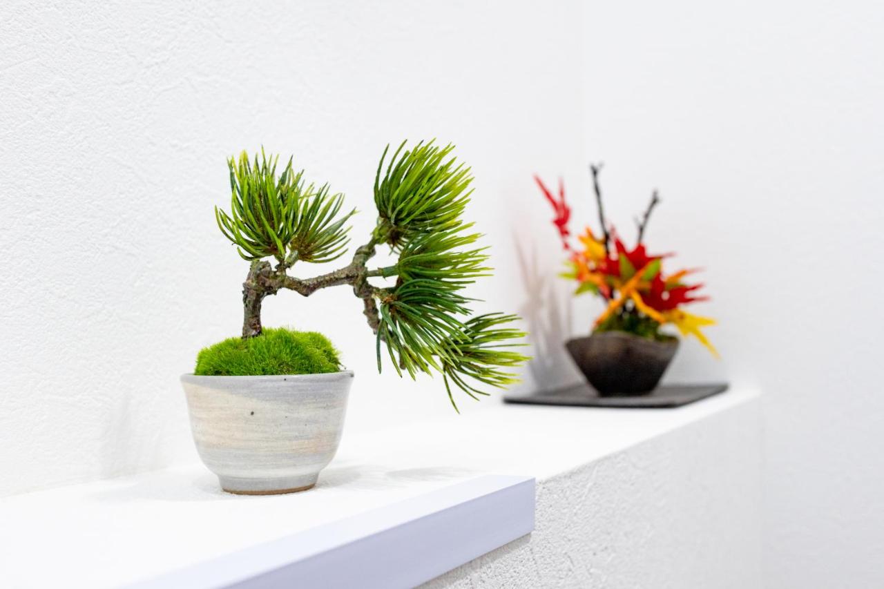 东京望塔 Boutou 22最新房价