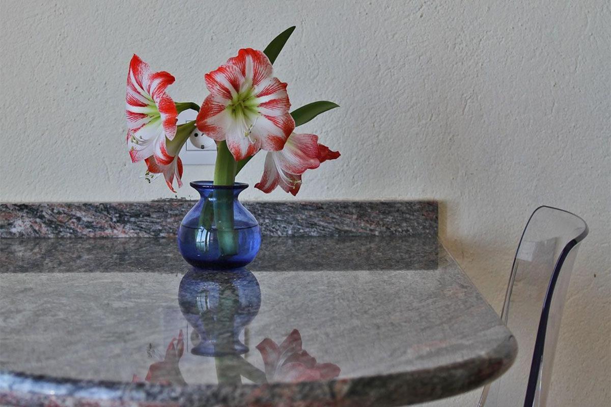 Bungalow Moijama El Drago预订 Bungalow Moijama El Drago优惠价格 Booking Com缤客