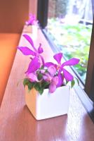 Almont Inn Tokyo Nihonbashi平面图