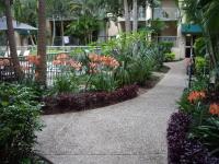 Bila Vista Kirra Beachside Apartments外面的花园