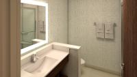 Holiday Inn Express & Suites El Paso East-Loop 375 by IHG的一间浴室
