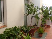 Hostal BESTPRICE Barcelona Stadium外面的花园