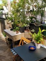 杜布罗夫尼克Adriatic Apartments的墙上挂着盆栽的桌椅