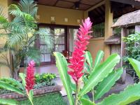 Ubud Lestari Bungalows外面的花园