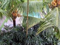 Ubud Lestari Bungalows内部或周边的泳池