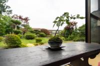 道草屋旅舎外面的花园