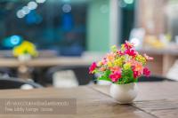 Evergreen Suite Hotel平面图