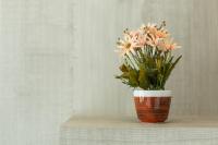 Evergreen Suite Hotel平面图