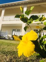 Rosewood Apartment Hotel外面的花园