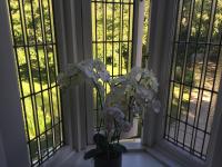 English Cherry Tree Manor外面的花园
