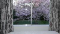 English Cherry Tree Manor外面的花园