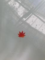 慧式泽若诺爱卡瑞旅馆平面图