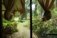 Eco-Logic, Resort for Charity外面的花园