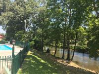 鸽子谷The River Cottage的一座游泳池,毗邻一条树木繁茂的河流