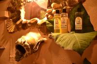 Eco-Logic, Resort for Charity平面图