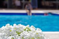 Sun Beach Hotel内部或周边的泳池